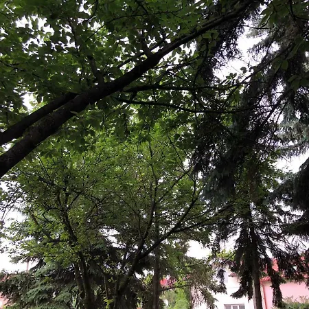 Vandrerhjem Sakura