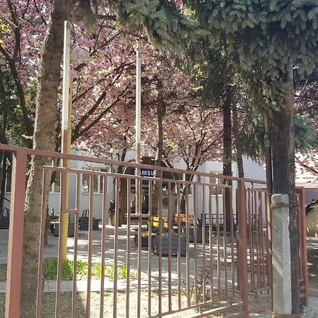 Hostel Sakura *