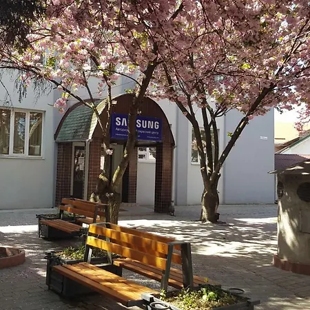 Sakura Hostel Uzhhorod