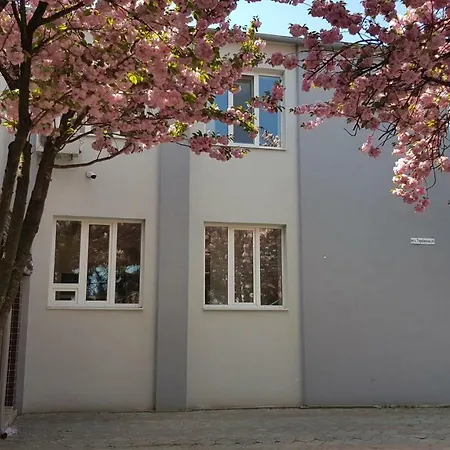 Hostel Sakura *